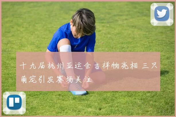 十九届杭州亚运会吉祥物亮相 三只萌宠引发赛场关注