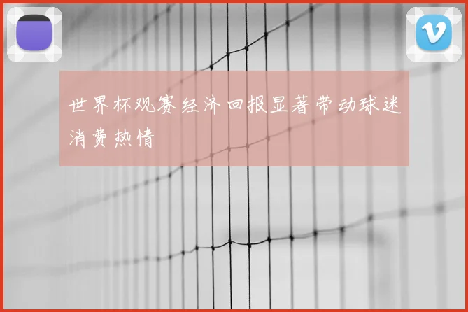 世界杯观赛经济回报显著带动球迷消费热情