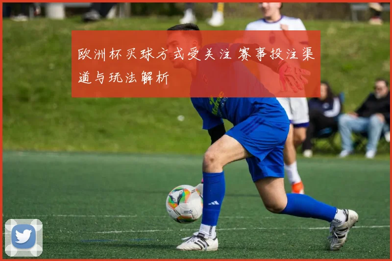 欧洲杯买球方式受关注 赛事投注渠道与玩法解析
