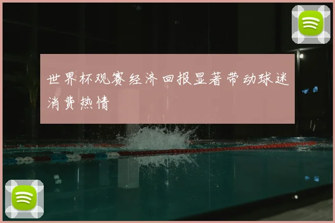 世界杯观赛经济回报显著带动球迷消费热情